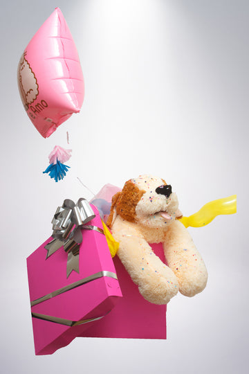 Caja sorpresa con peluche