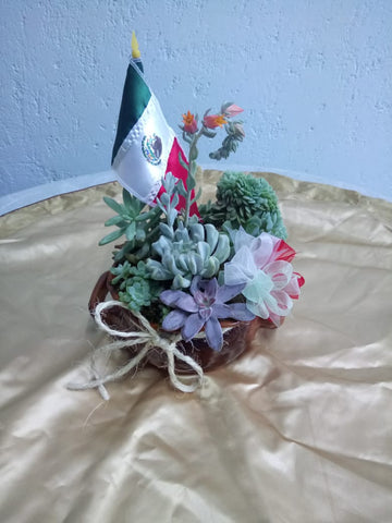 Arreglo independencia