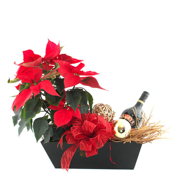 Navidad nochebuenas con vino tinto