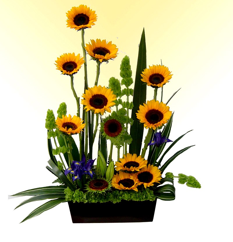 Elegant arreglo girasoles