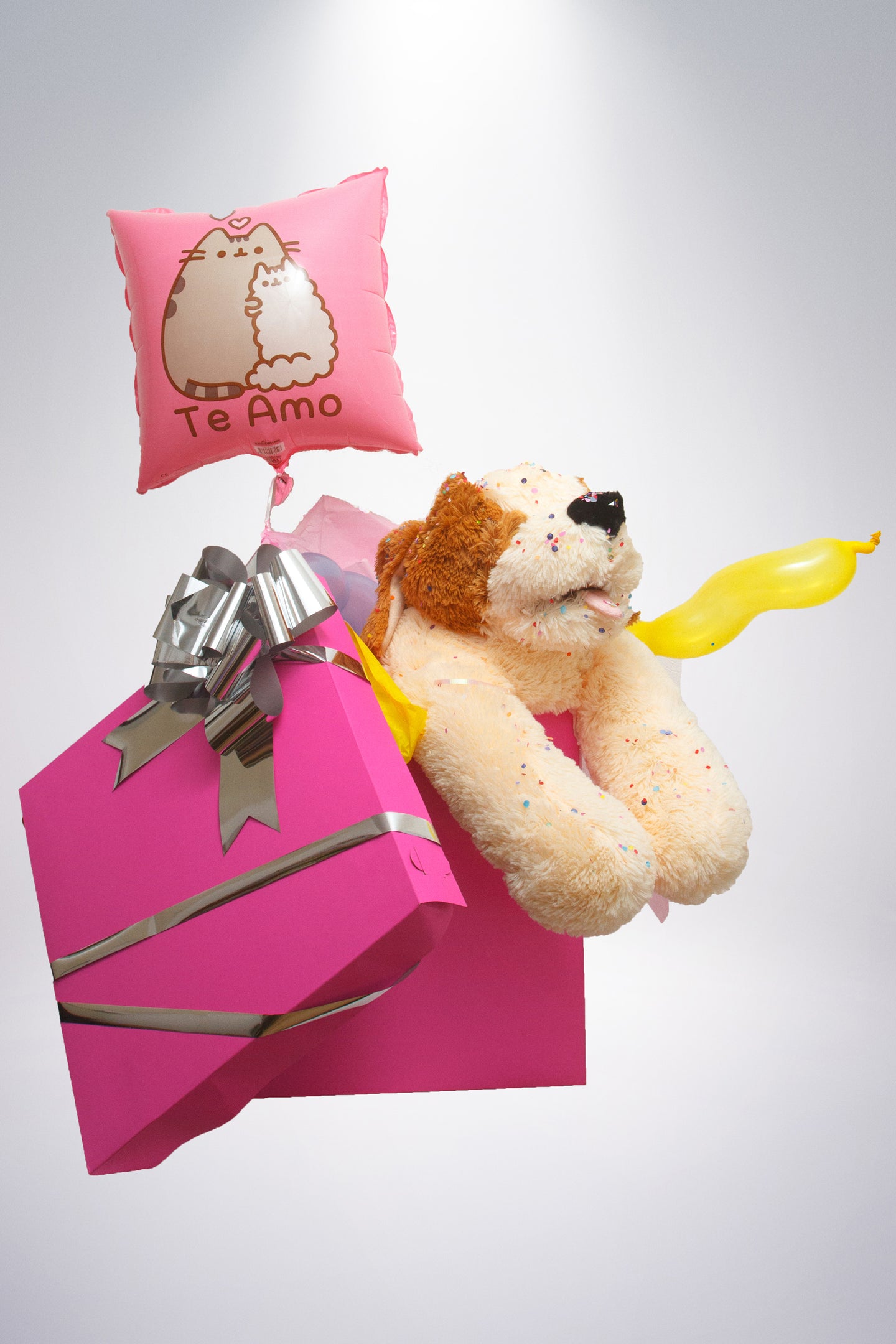 Caja sorpresa con peluche