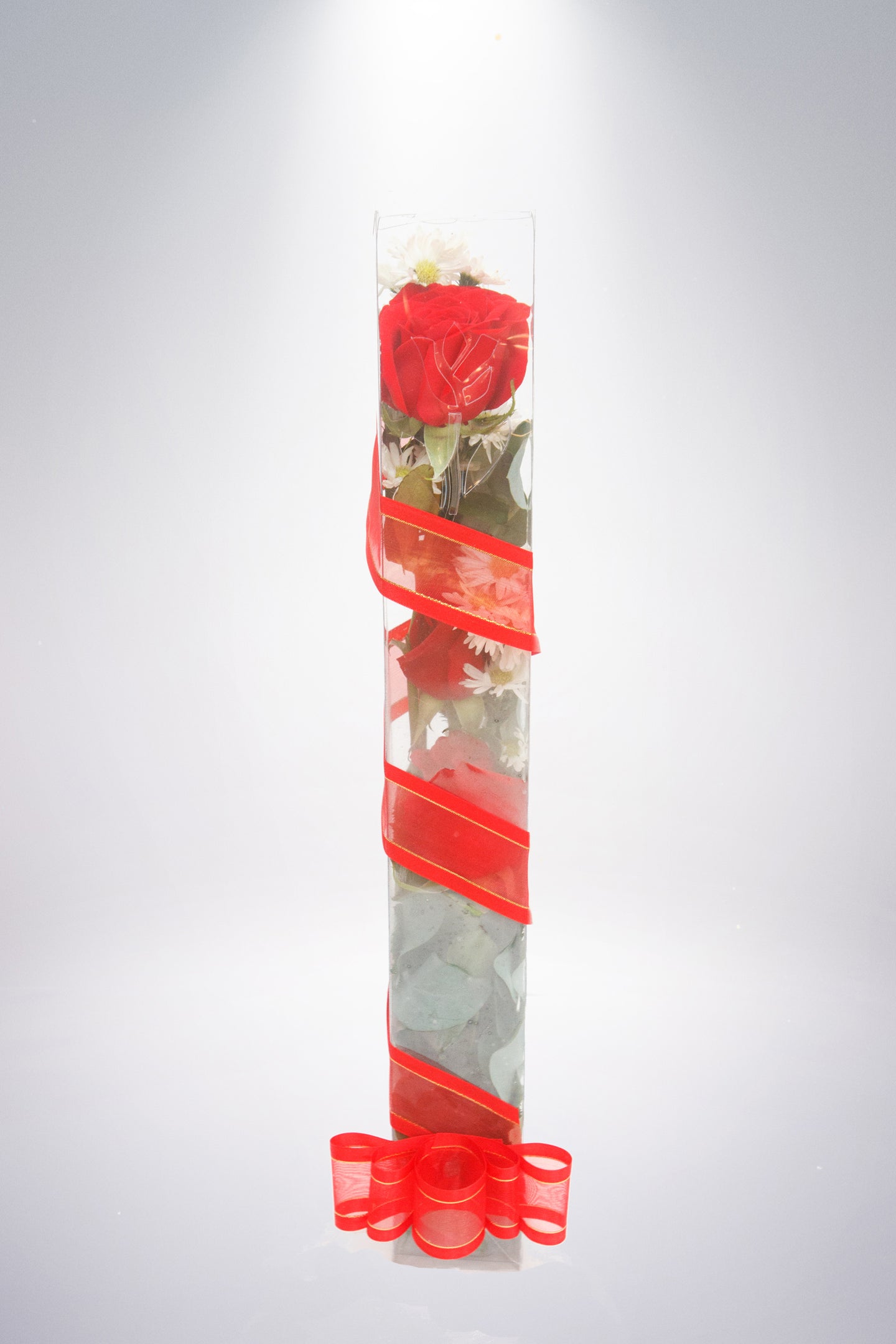 Tu y yo en caja o en globo