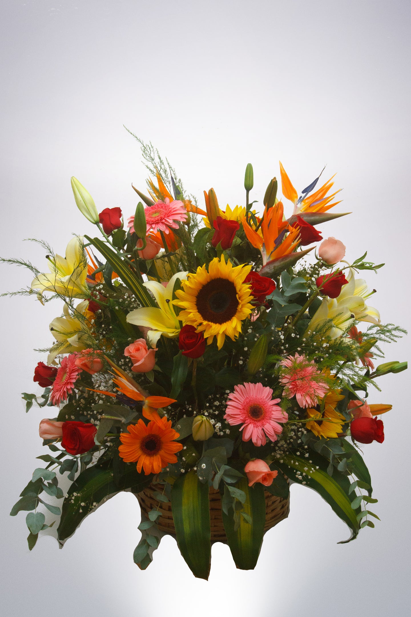 Primaveral especial flores de temporada