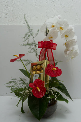 Especial Arreglo con anturios orquídea y chocolates
