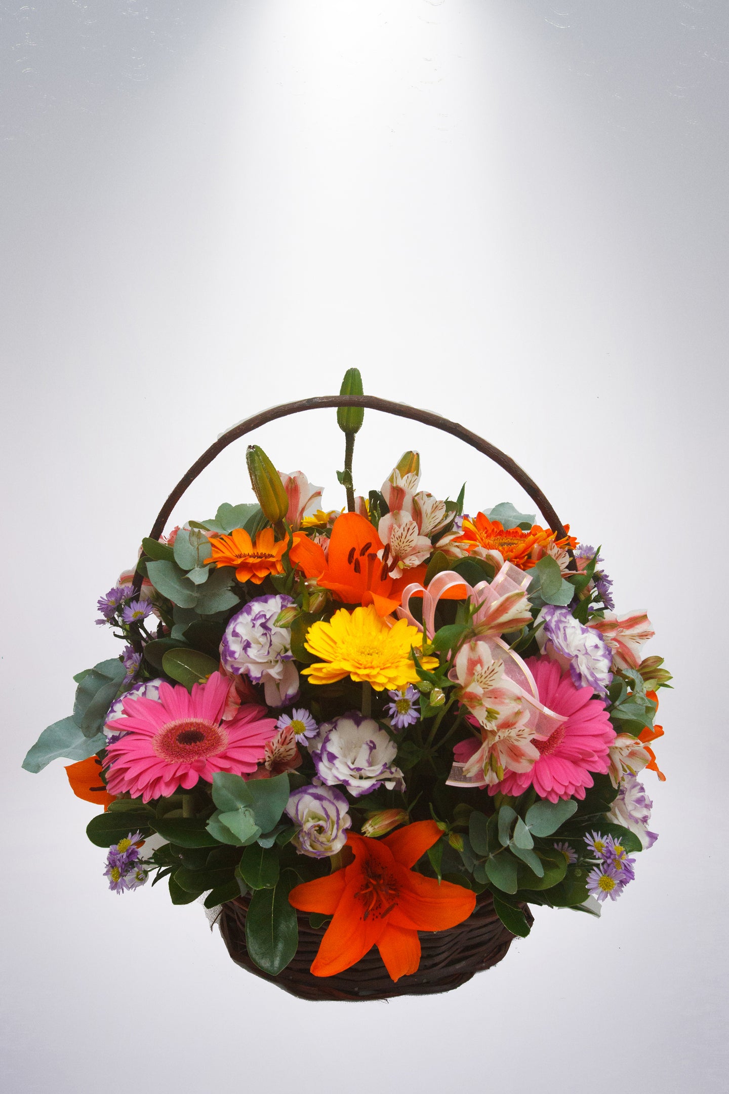 Alegría astromedias gerberas lilis