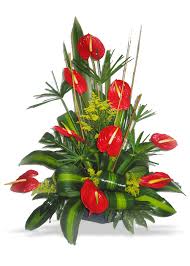 Royal arreglo con anturios