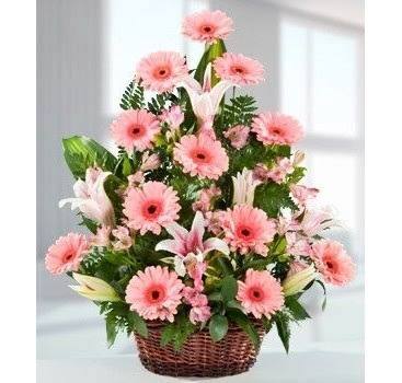 Ternura con gerberas lilis o casablancas