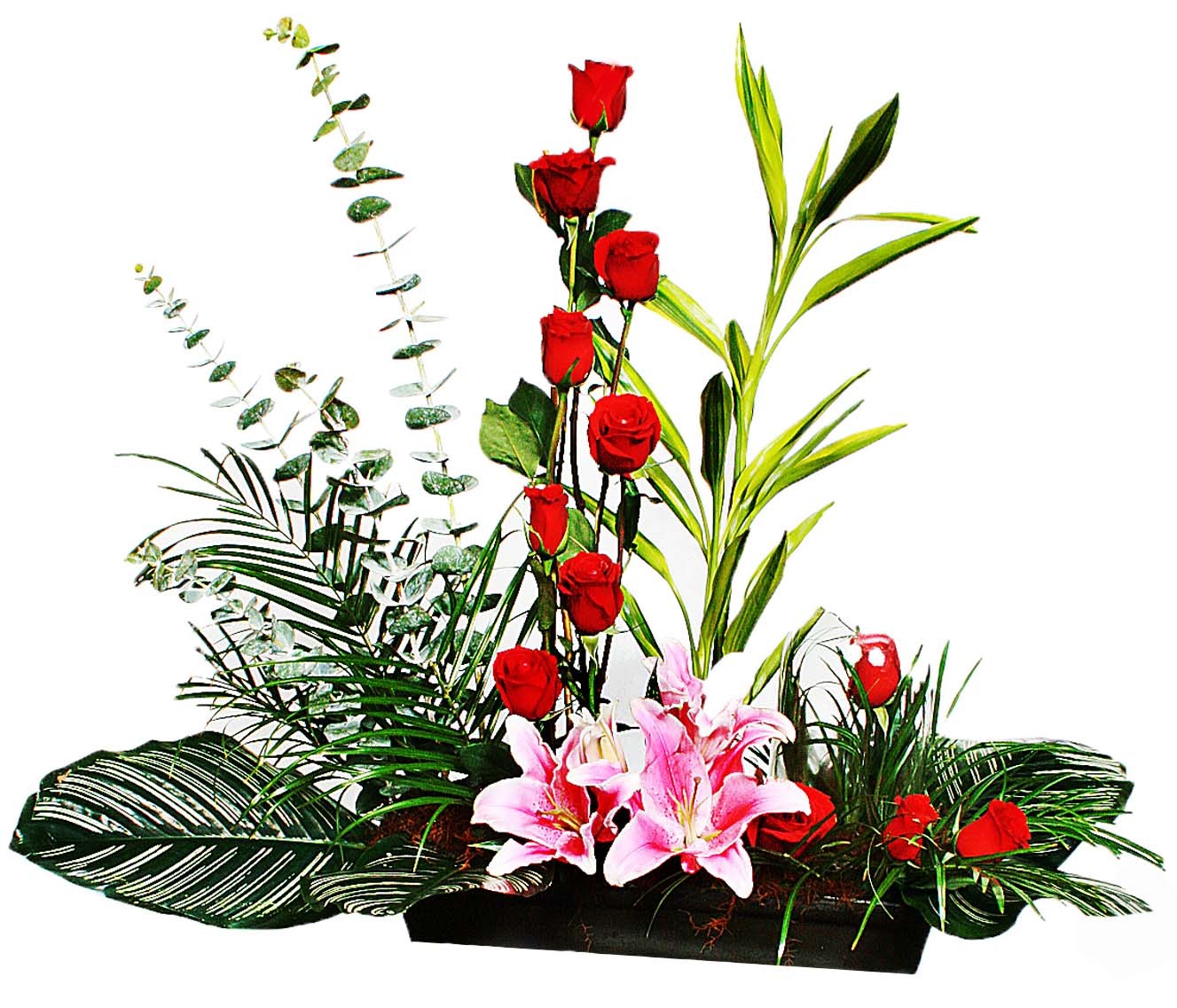 Otoño rosas y acapulcos follajes especiales